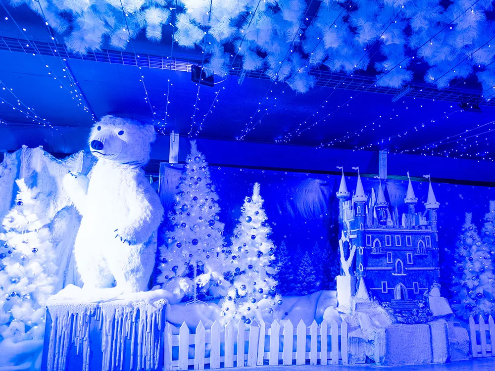 Peermont Group Seasons Greetings , Creative Direction for Peermont (01)
